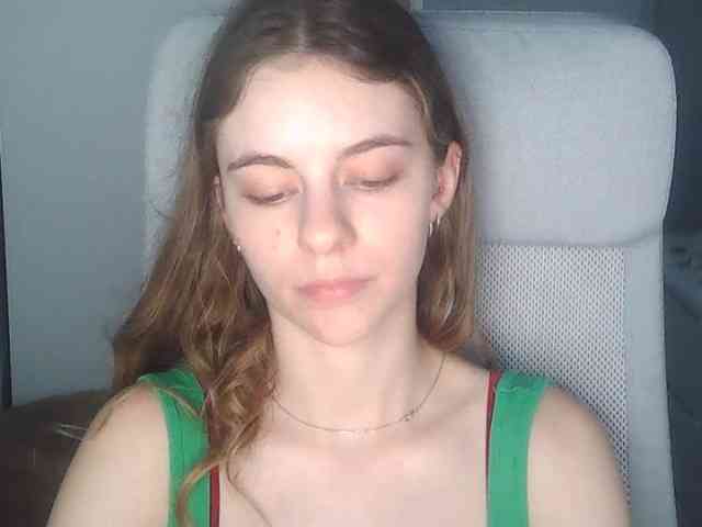 AriaModel webcam