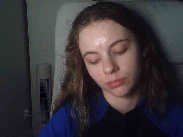 AriaModel webcam