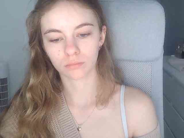 AriaModel webcam