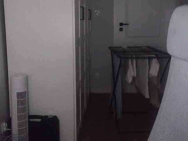 AriaModel webcam