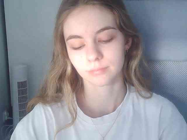 AriaModel webcam