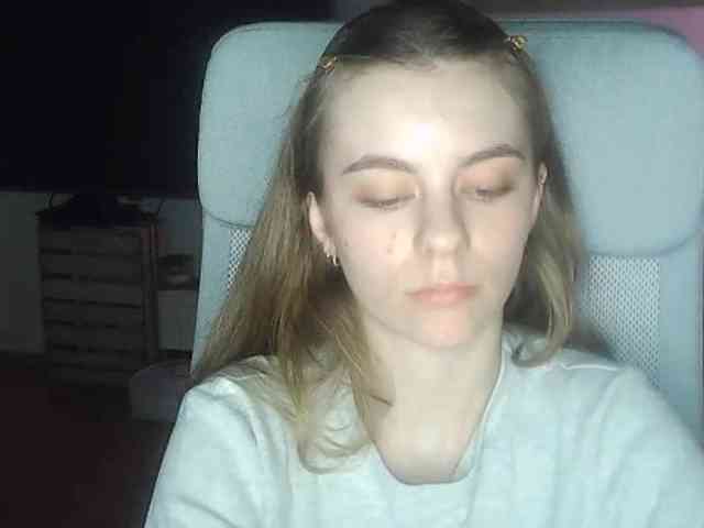 AriaModel webcam