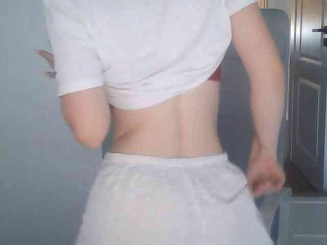 AriaModel webcam