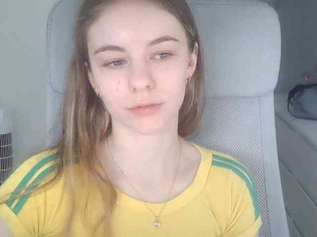 AriaModel webcam