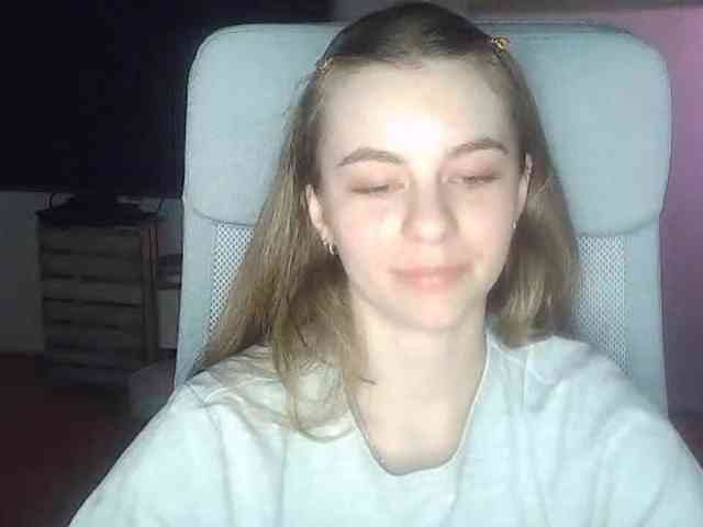 AriaModel webcam