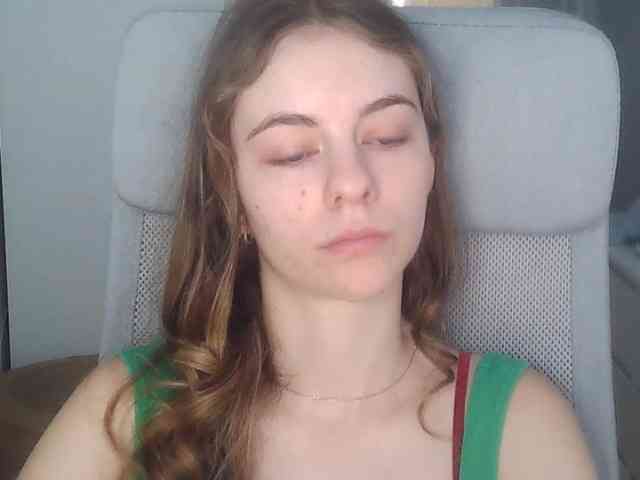 AriaModel webcam