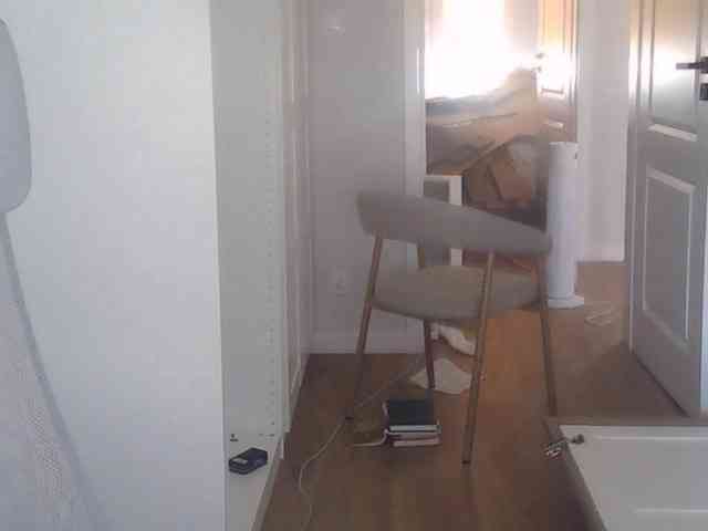 AriaModel webcam