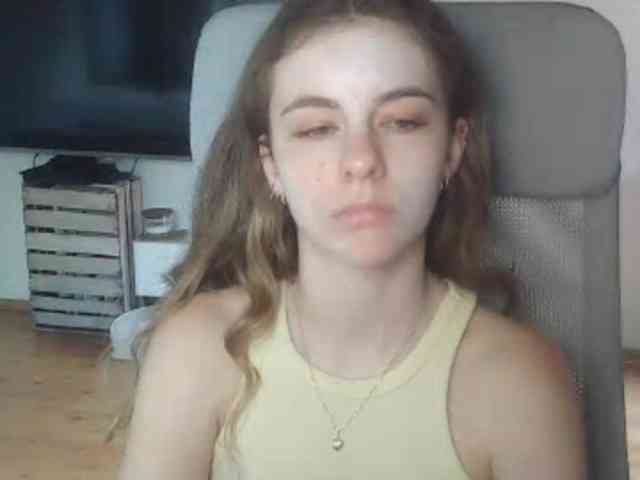 AriaModel webcam