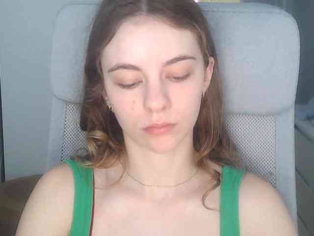 AriaModel webcam