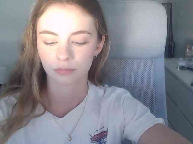 AriaModel webcam