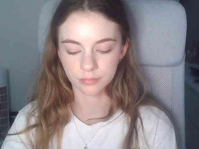 AriaModel webcam