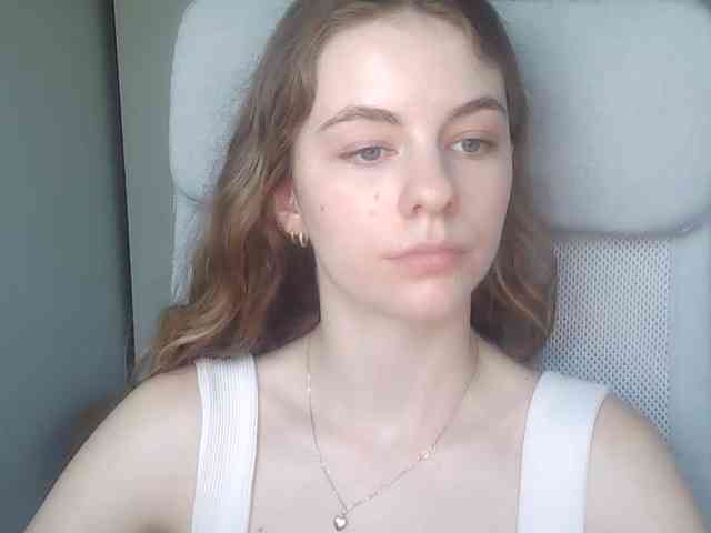 AriaModel webcam