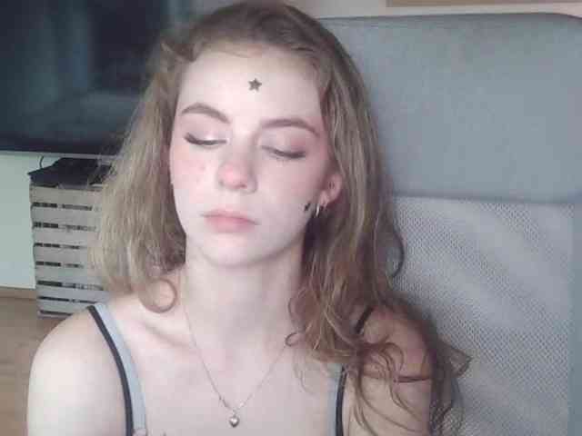 AriaModel webcam