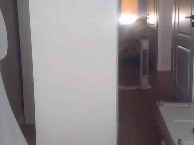 AriaModel webcam