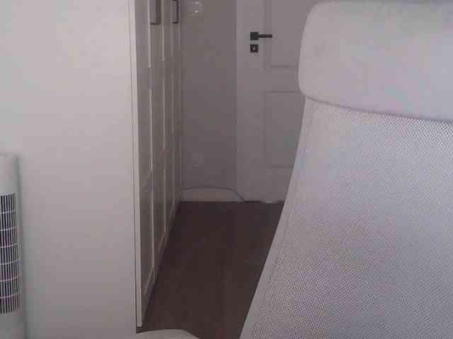 AriaModel webcam