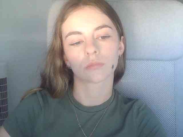 AriaModel webcam