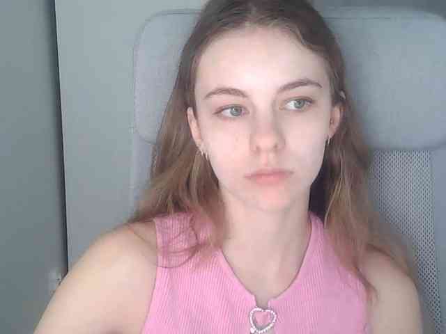AriaModel webcam