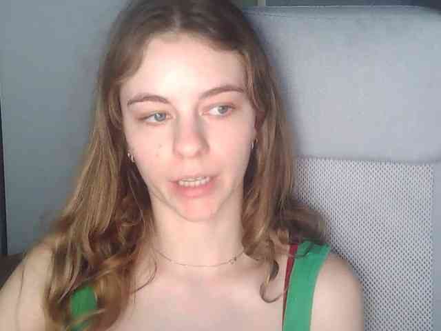 AriaModel webcam