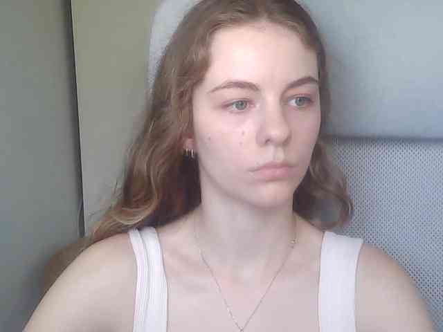 AriaModel webcam