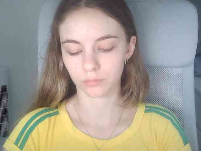AriaModel webcam
