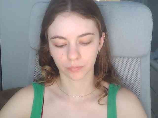 AriaModel webcam