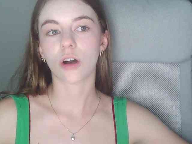 AriaModel webcam