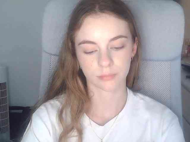 AriaModel webcam