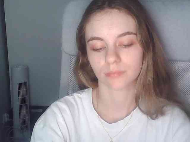 AriaModel webcam