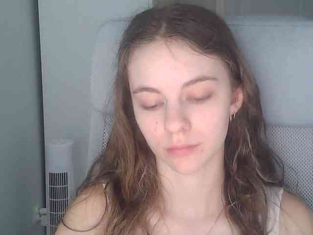 AriaModel webcam