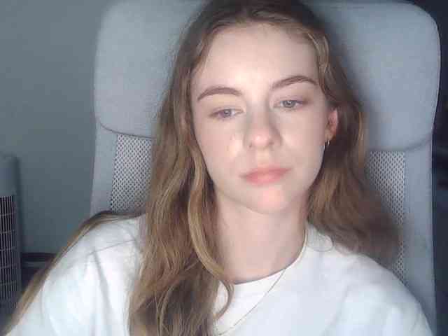 AriaModel webcam