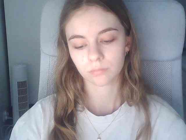 AriaModel webcam