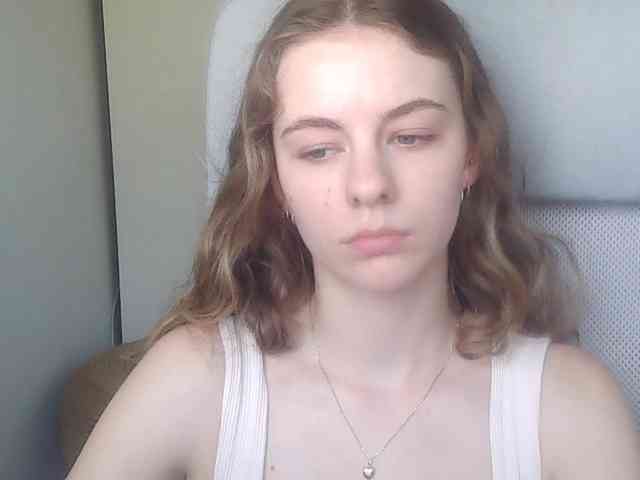 AriaModel webcam