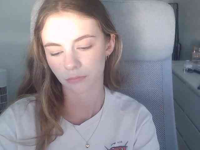 AriaModel webcam
