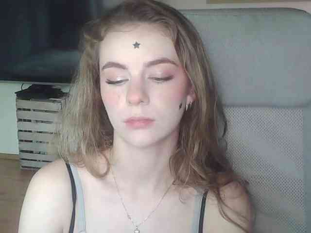 AriaModel webcam