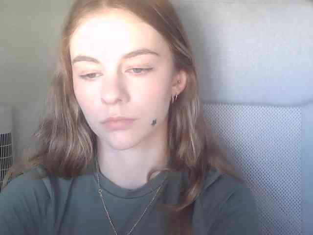 AriaModel webcam