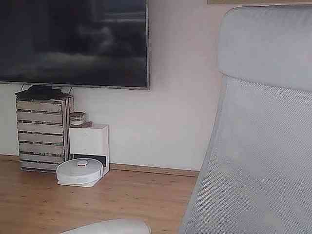 AriaModel webcam