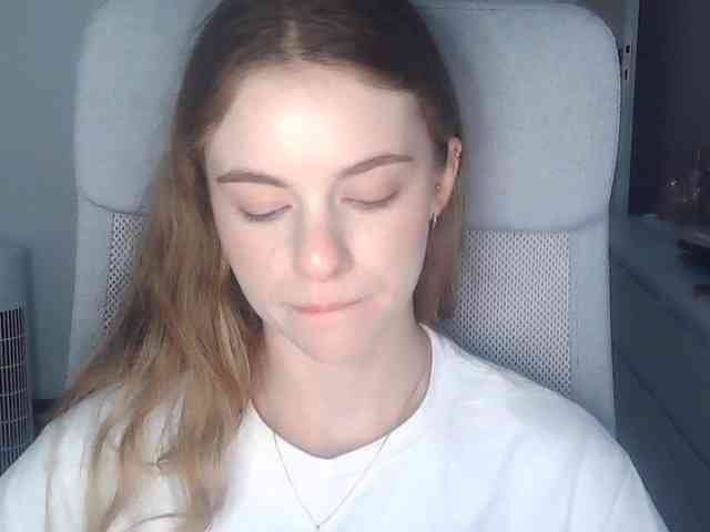 AriaModel webcam