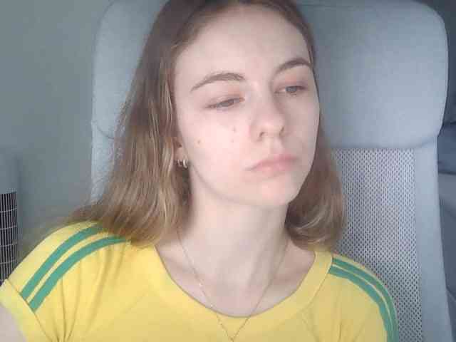 AriaModel webcam
