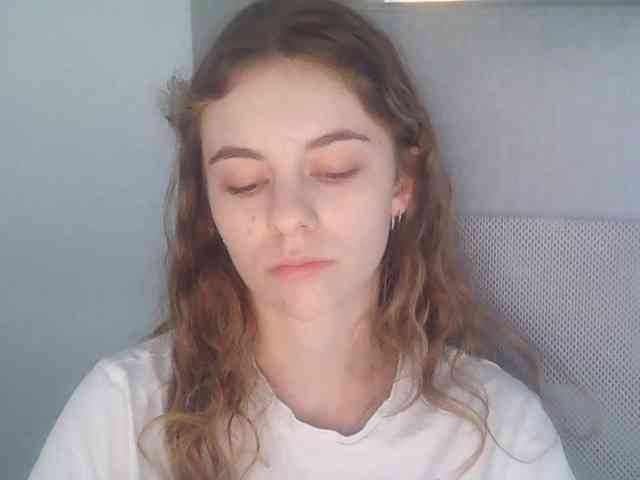 AriaModel webcam