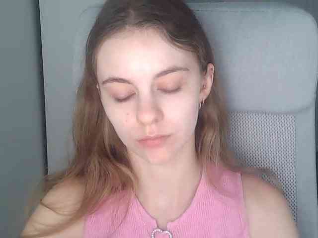 AriaModel webcam