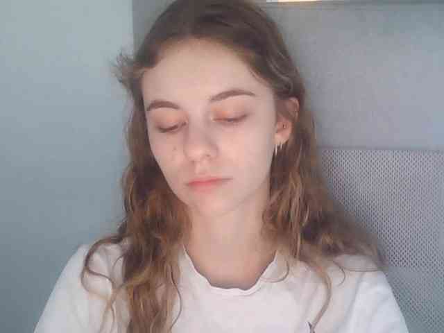 AriaModel webcam