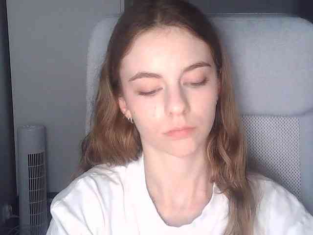 AriaModel webcam