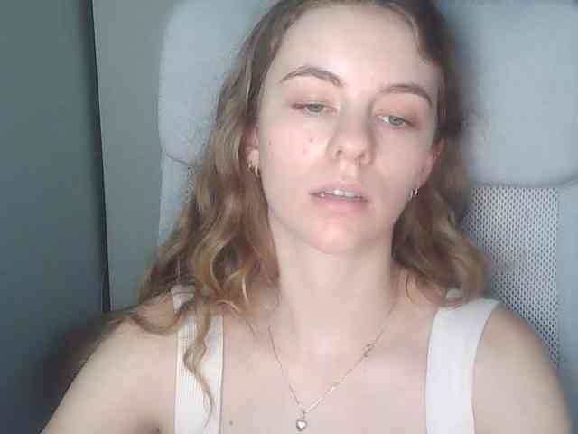 AriaModel webcam