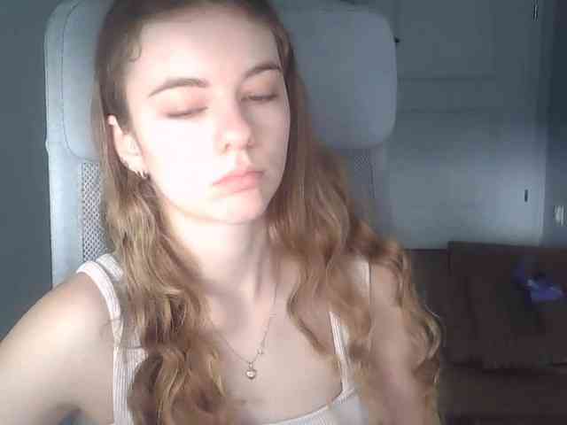 AriaModel webcam