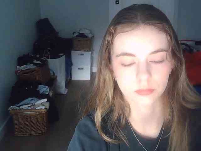 AriaModel webcam
