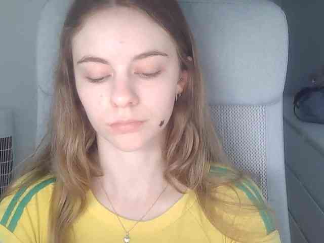 AriaModel webcam