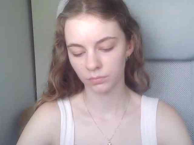 AriaModel webcam