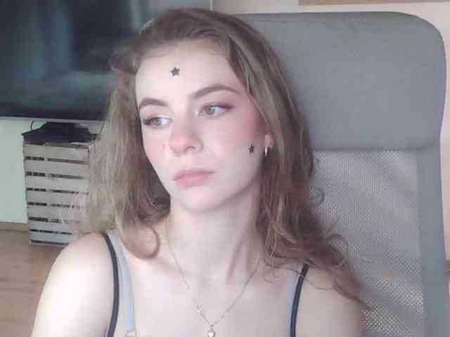 AriaModel webcam