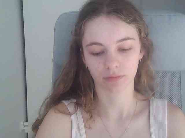AriaModel webcam