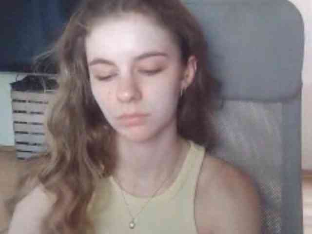 AriaModel webcam
